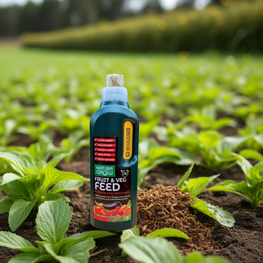 Fruit & Vegetable Plant Feed